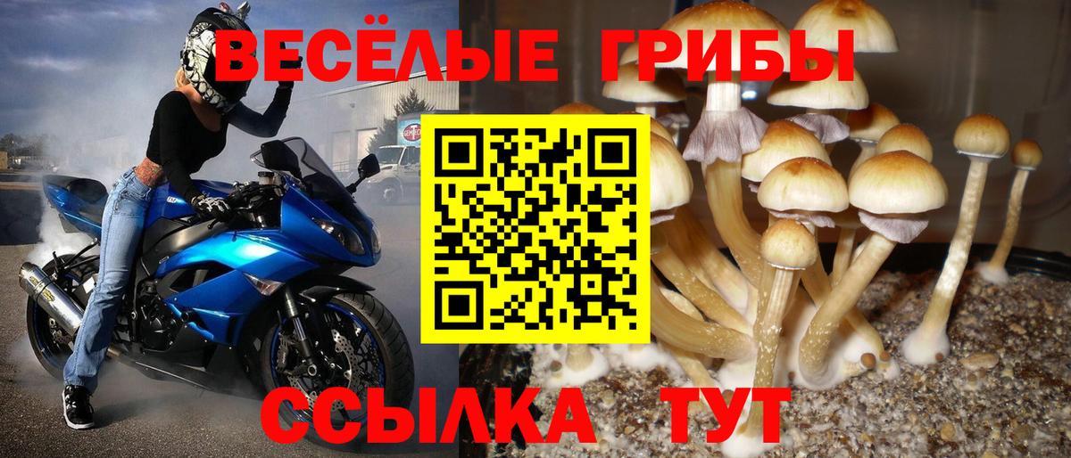 Галлюциногенные грибы MAGIC MUSHROOMS  Галлюциногенные грибы мухоморы  Новочебоксарск  Вход с VPN 