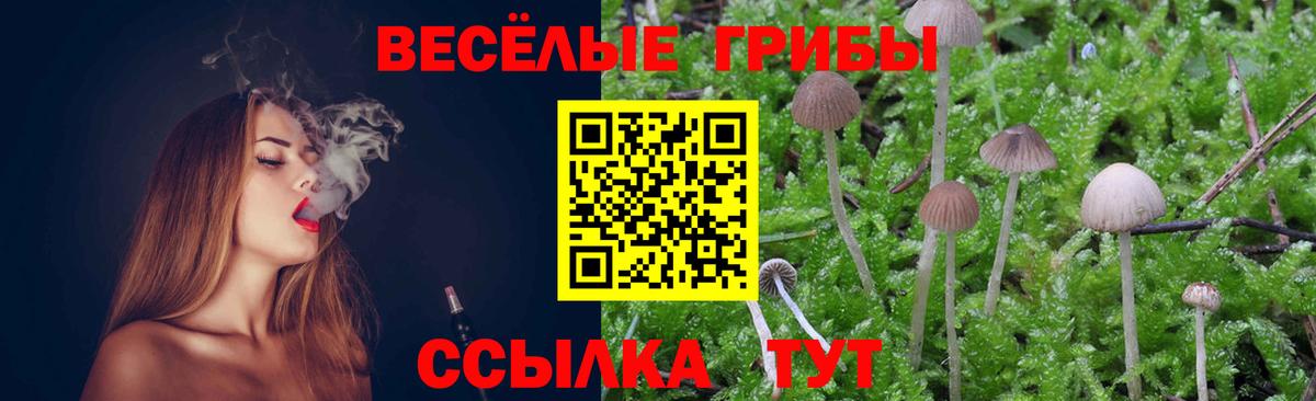 Галлюциногенные грибы Magic Shrooms Новочебоксарск